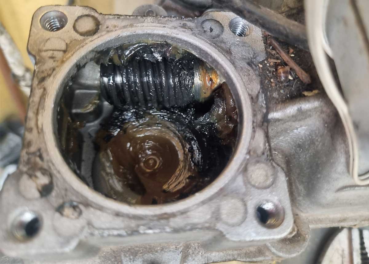 Pinhão do eixo do motor Peccinin Gatter embebido em graxa — parte em contato direto com a engrenagem de redução interna substituída em Itaquera